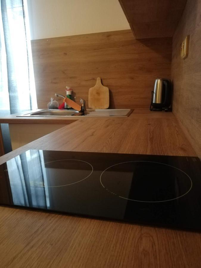Penzion Pod Svahem Železná Ruda 外观 照片